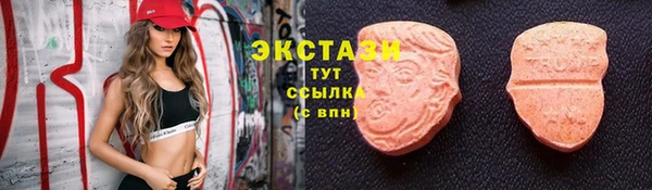 ECSTASY Бородино